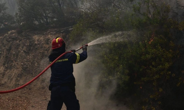 Φωτιά στην Κουνουπίτσα Τροιζηνίας - Στη μάχη δέκα εναέρια μέσα