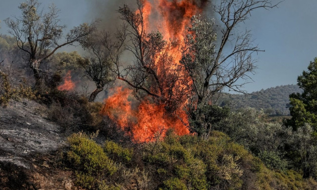 Κρήτη: Μεγάλη φωτιά στο Ρέθυμνο - Καίει σε δύο μέτωπα
