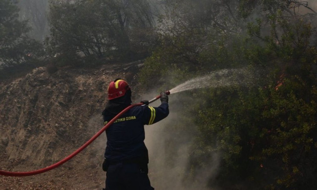 Μεγάλη φωτιά στον Σπάθαρη Αρκαδίας - Στη μάχη εννέα εναέρια μέσα