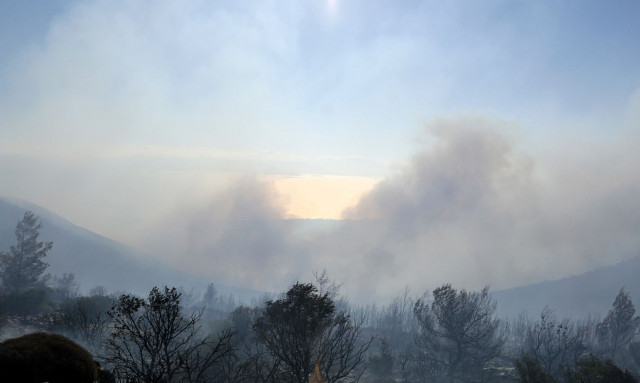 Φωτιά στο Μαραθώνα - Αντιμετωπίστηκε άμεσα από την Πυροσβεστική