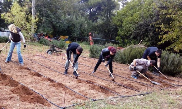 Σπουδαστές σε αγροτικά ΙΕΚ - Αρχίζει από σήμερα 19/8/2024 η υποβολή αιτήσεων όσων πέρασαν