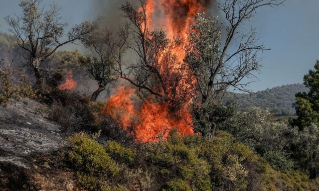 Φωτιά στο Ανατολικό Σέλινο Χανίων - Στη μάχη και εναέρια μέσα