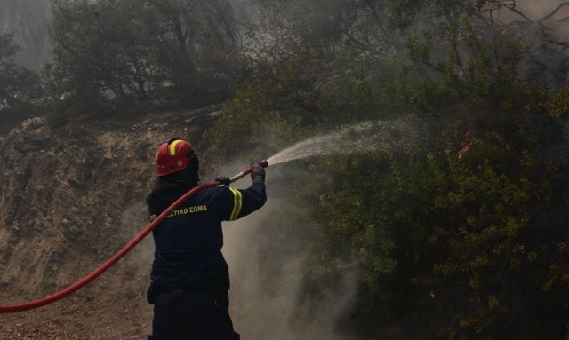 Φωτιά στην Κασσάνδρα Χαλκιδικής