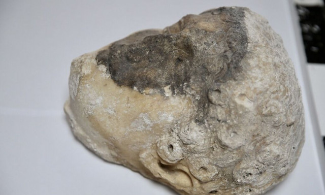 Σπουδαία ανακάλυψη στην Τουρκία: Βρέθηκε κεφάλι αγάλματος - Πιθανολογείται του Απόλλωνα