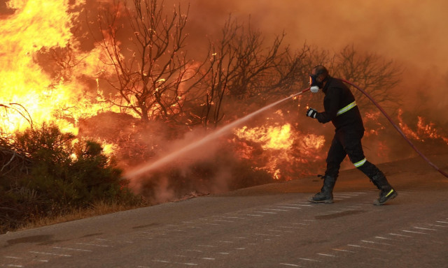 Σάμος: Υπό μερικό έλεγχο η πυρκαγιά - Μια σύλληψη για εμπρησμό
