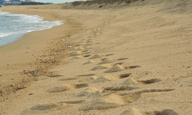 Δανία: Παιδιά θάφτηκαν κάτω από αμμόλοφους - Οι αρχές προειδοποιούν για τον κίνδυνο κατολισθήσεων