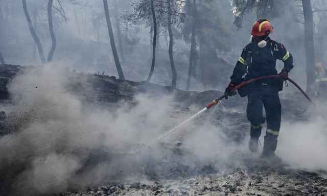 Πυροσβεστική: 52 αγροτοδασικές πυρκαγιές το τελευταίο 24ωρο σε όλη την χώρα