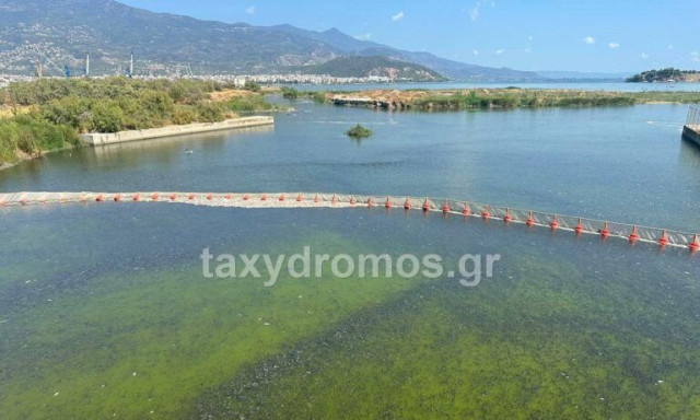 Τοποθετήθηκε πλέγμα που θα συγκρατεί τα νεκρά ψάρια να μην καταλήγουν στον Παγασητικό