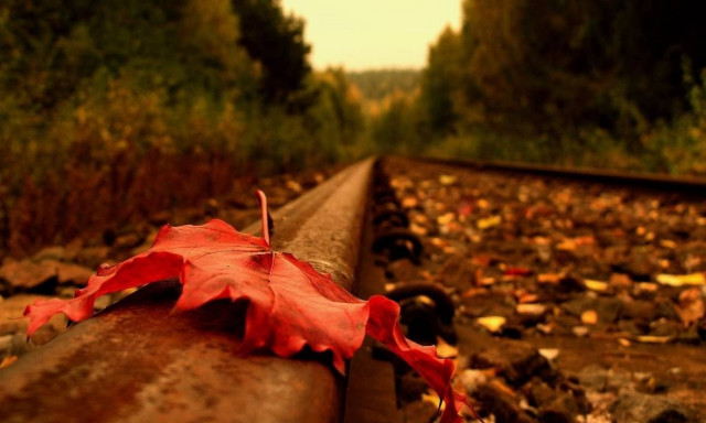 Φθινόπωρο άλλης εποχής -  Η αναλυτική πρόγνωση της ΕΜΥ για Σεπτέμβριο, Οκτώβριο, Νοέμβριο