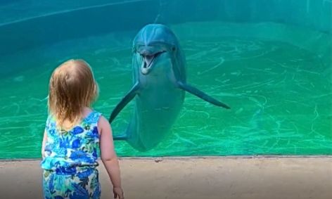 Κοριτσάκι που επισκέπτεται ενυδρείο «πιάνει κουβέντα»... με ένα δελφίνι