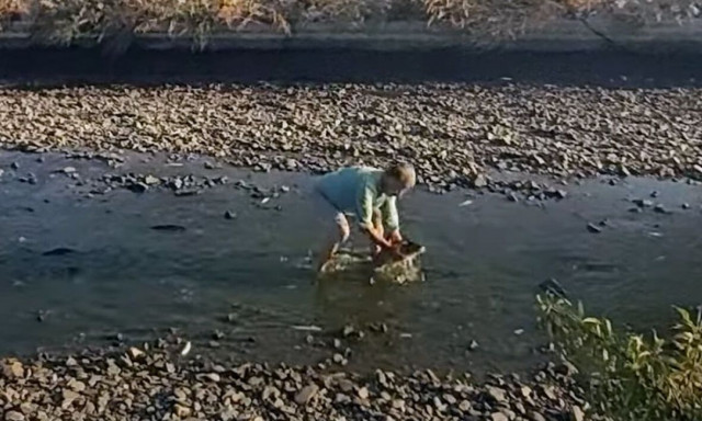 Άνδρας σώζει ψάρια που σπαρταρούν στη λίμνη Κάρλα - Συγκινητικό βίντεο