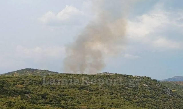 Μπαράζ πυρκαγιών στη Φθιώτιδα από κεραυνούς