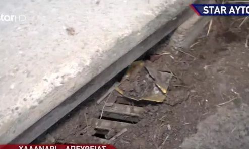 Απίστευτο: Φύτρωσαν δένδρα σε ακαθάριστα φρεάτια στο Χαλάνδρι!