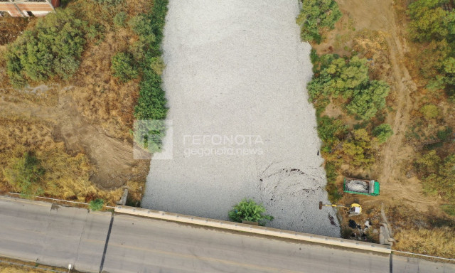 Μαγνησία: Η φρίκη από ψηλά - Drone κατέγραψε τις απόκοσμες εικόνες με τα χιλιάδες νεκρά ψάρια