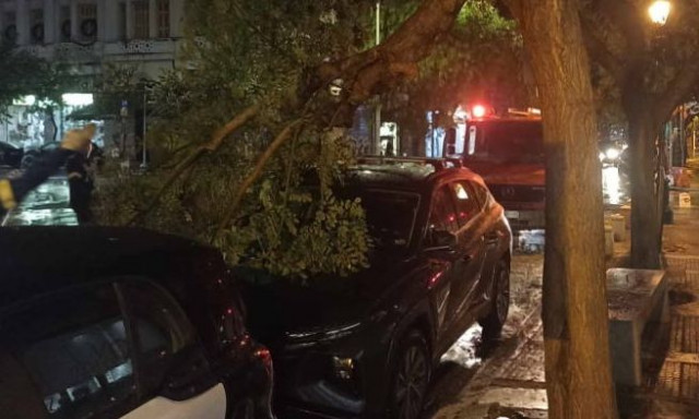 Θεσσαλονίκη: Το μπουρίνι έριξε κλαδιά δέντρων σε αυτοκίνητο - Δεκάδες κλήσεις στην πυροσβεστική