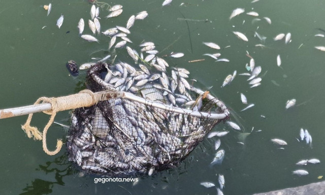 Σε κατάσταση έκτακτης ανάγκης ο Βόλος