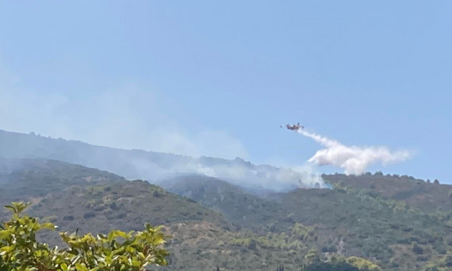 Φωτιά στη Φθιώτιδα