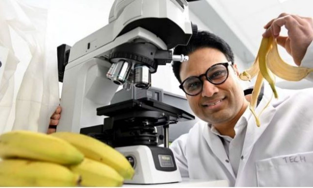Εντυπωσιακή ανακάλυψη: Επιστήμονες μετέτρεψαν... μπανάνες σε καύσιμα και κλωστοϋφαντουργικά προϊόντα