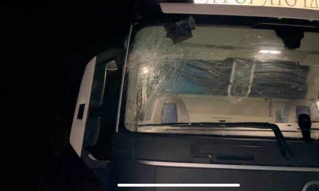 Δέντρο έπεσε πάνω σε νταλίκα στην Παλαιά Εθνική Οδό Αντιρρίου – Ιωαννίνων