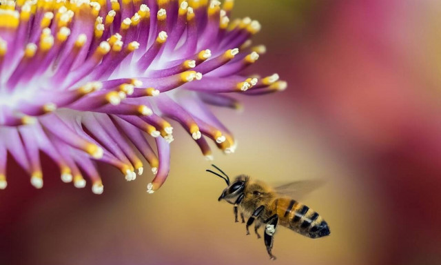 Γιατί η ρύπανση του αέρα επηρεάζει τις μέλισσες που επικονιάζουν