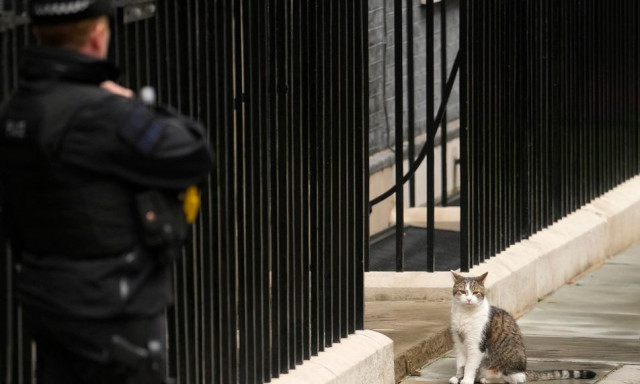 Δύσκολα τα πράγματα στη Ντάουνινγκ Στριτ: Ο γάτος Λάρι έχει ανταγωνιστή - Ποιος έχει το «πάνω χέρι»