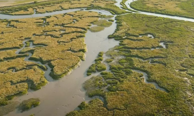 «Το πιο μολυσμένο νησί του κόσμου» γεμάτο ανθρώπινα κρανία - To στοιχειωμένο παρελθόν του