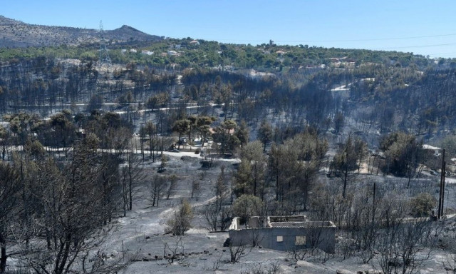 Παρατείνεται η λειτουργία της πλατφόρμας arogi.gov.gr για τους πληγέντες από τις πρόσφατες πυρκαγιές