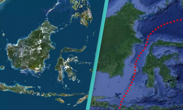Ο παράξενος λόγος που τα ζώα δεν περνούν αυτή την μυστηριώδη γραμμή