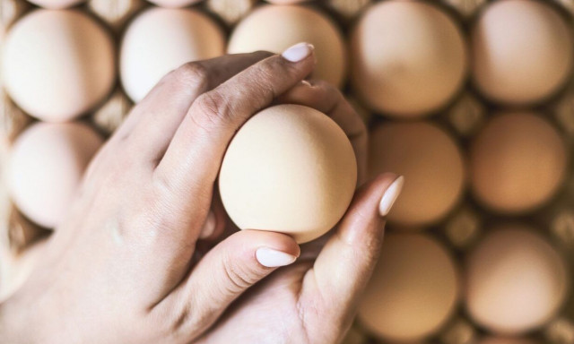 Αυγά: Όλα όσα πρέπει να ξέρετε για την διαφορά λευκών και καφέ - Ποιά είναι τα καλύτερα