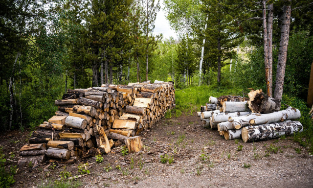 Ουγγαρία: Δολοφόνησαν Αμερικανίδα τουρίστρια - Πέταξαν το πτώμα της στο δάσος