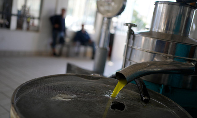 Ελαιόλαδο: «Κλείδωσε» η τιμή του τενεκέ για το 2025 - Πόσο πωλείται σήμερα