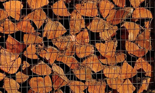 Καυσόξυλα: Καλά νέα για την τιμή τους τον εφετινό χειμώνα