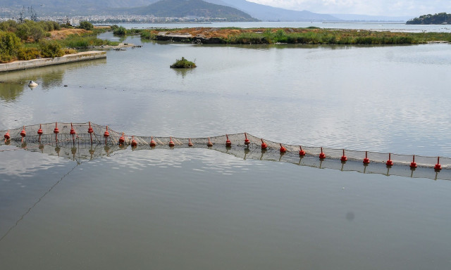 Βόλος: Επιτρέπεται και πάλι η κολύμβηση στις ακτές - Πεντακάθαρα τα νερά έδειξαν οι αναλύσεις