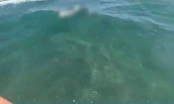 Κως: Σε 26χρονο Παλαιστίνιο ανήκει η σορός που βρέθηκα στα ανοιχτά του νησιού