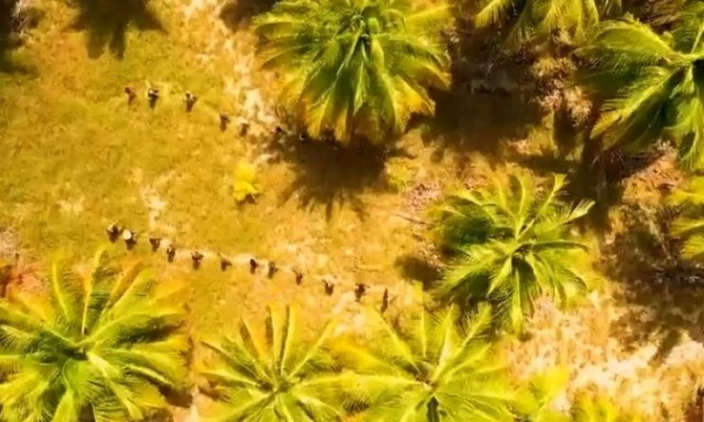 Survivor: Φήμες πως δυο παίκτες έφτασαν στον Άγιο Δομίνικο αλλά έφυγαν