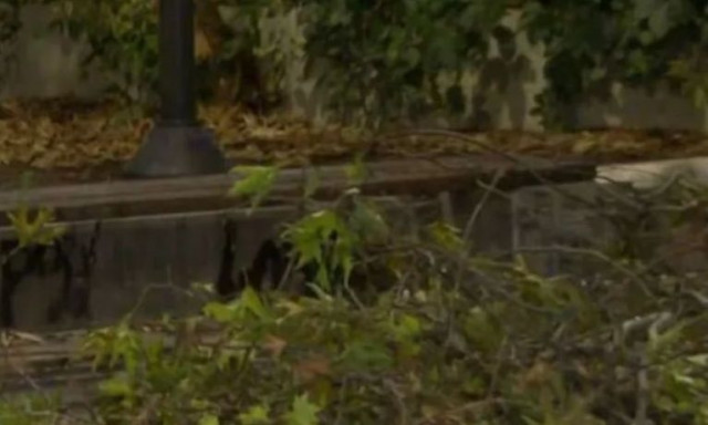 Θεσσαλονίκη: Του έπεσε δέντρο στο κεφάλι ενώ καθόταν σε παγκάκι