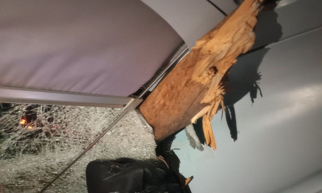 Κορμός δέντρου διαπέρασε το τρένο που προσέκρουσε μεταξύ Σφενδάλης και Αφιδνών