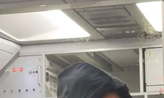 Χάος σε αεροπλάνο από σμήνος κουνουπιών - Δείτε βίντεο