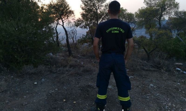 Πυροσβεστική: Συνολικά 31 δασικές πυρκαγιές το τελευταίο 24ωρο σε όλη τη χώρα