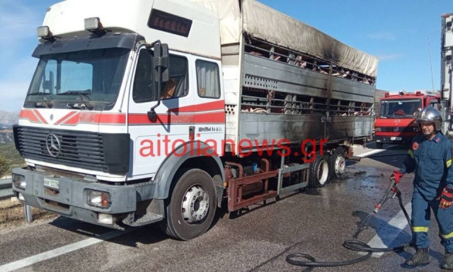 Αμφιλοχία: Νταλίκα που μετέφερε ζώα πήρε φωτιά στην Ιόνια Οδό