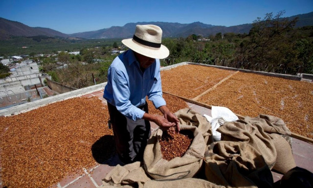 Ρεκόρ 50 ετών στην τιμή του καφέ: Γιατί είναι τσουχτερός ο «μαύρος χρυσός»