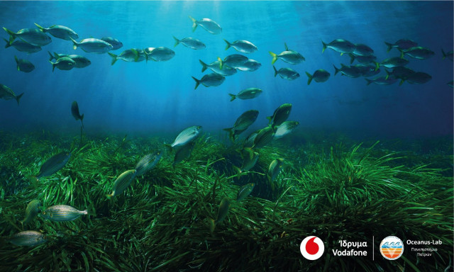 Το πρόγραμμα Vodafone Posidonia στην έκθεση Art Athina