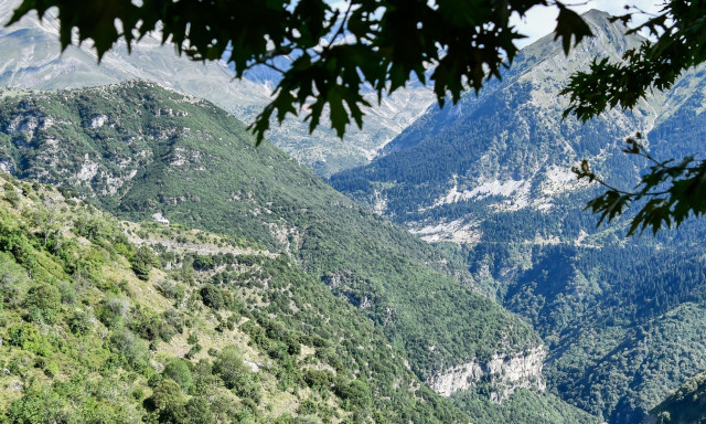 Πληκάτι: Το γραφικό χωριό της Ηπείρου που είναι «πνιγμένο» στο πράσινο - Πώς πήρε το όνομά του