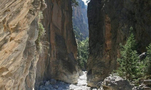 Τραγωδία: Νεκρή γυναίκα στο Φαράγγι της Σαμαριάς - Καταπλακώθηκε από βράχο