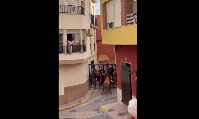 Τρόμος στην Ισπανία: Ταύρος επιτέθηκε σε άντρα σε φεστιβάλ - Τον κάρφωσε στα γεννητικά όργανα