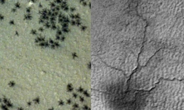 Επιστήμονες της NASA κατάφεραν να παράξουν τις «αράχνες του Άρη»: «Ούρλιαζαν από τη χαρά τους»