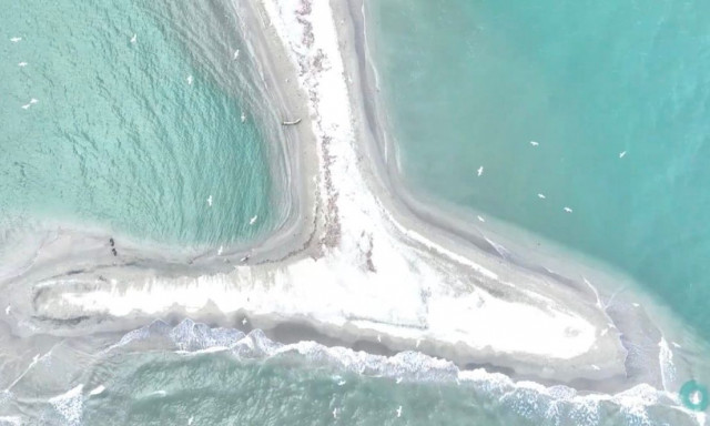 «Μαγική εικόνα» στα παράλια της Λάρισας με τεράστια ουρά φάλαινας