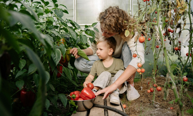ΟΠΕΚΑ: Πληρώνεται σήμερα το επίδομα των 700 και 1.000 ευρώ σε αγρότισσες μητέρες