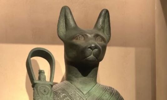 Σανγκάη: Μεγάλη έκθεση αφιερωμένη στις γάτες και... τα αιλουροειδή είναι ευπρόσδεκτα!