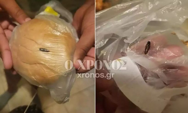 Μαθήτρια στην Κομοτηνή βρήκε κατσαρίδα στο σχολικό της γεύμα - Εικόνες ντροπής